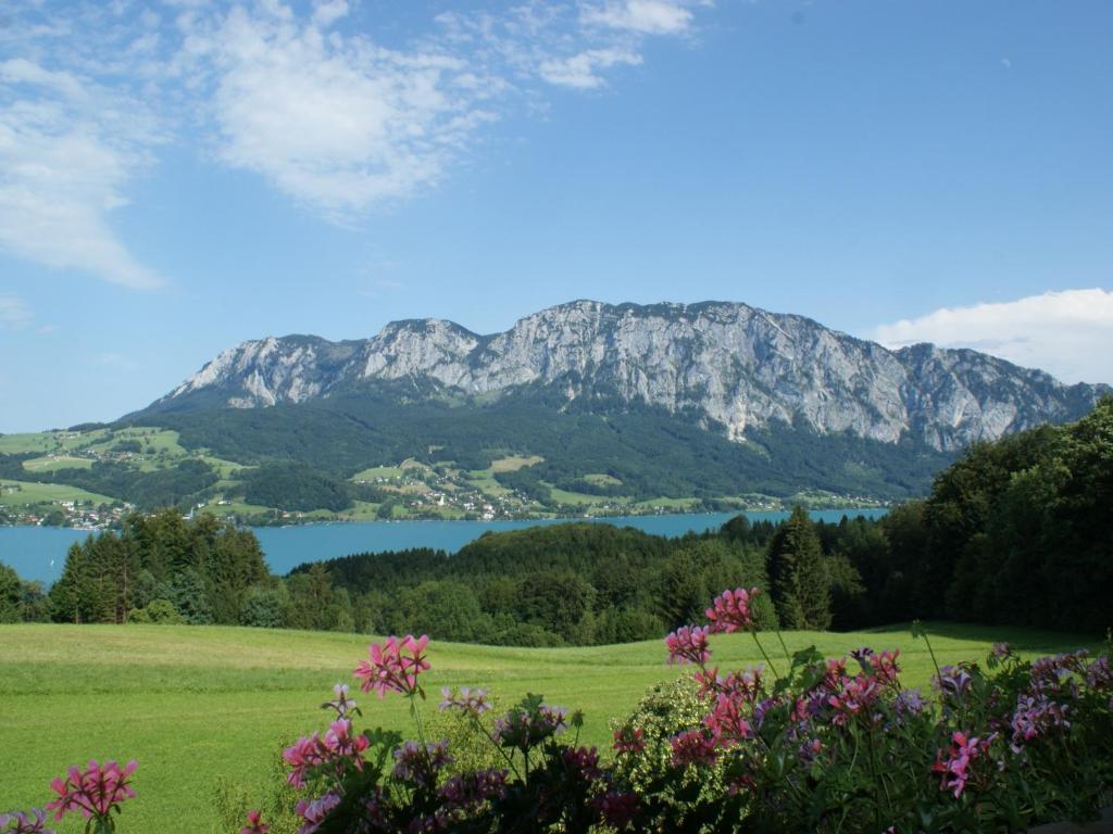 Biobauernhof Nussbaumer Vila Nussdorf am Attersee Exterior foto